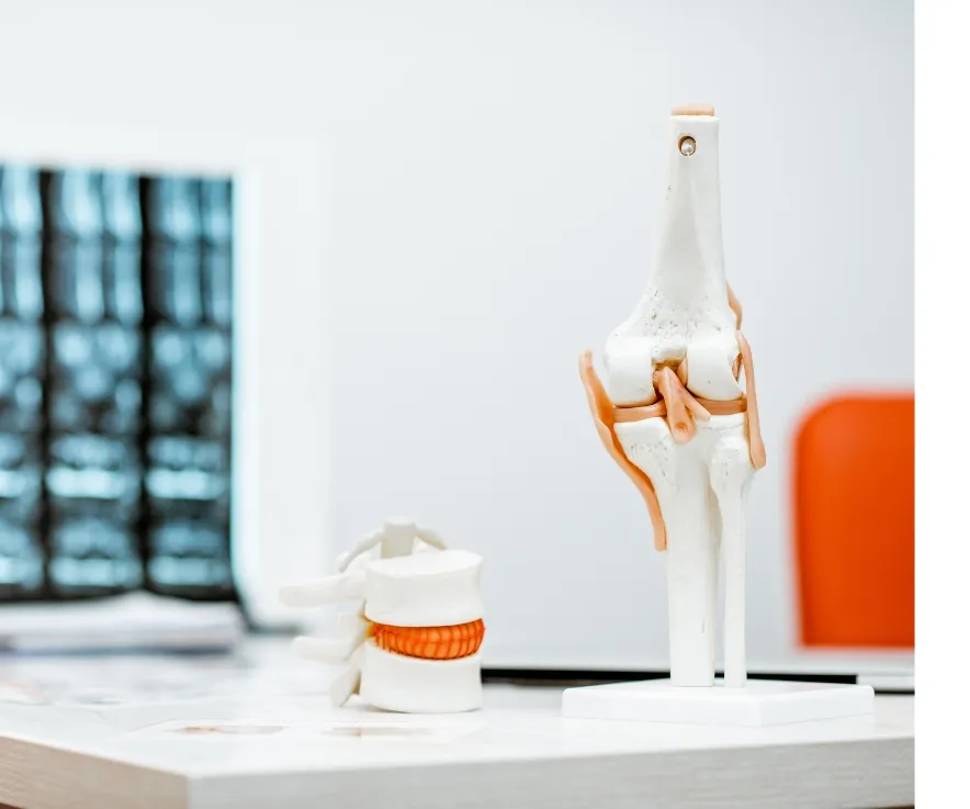 Active, pain-free lifestyle after physiotherapy